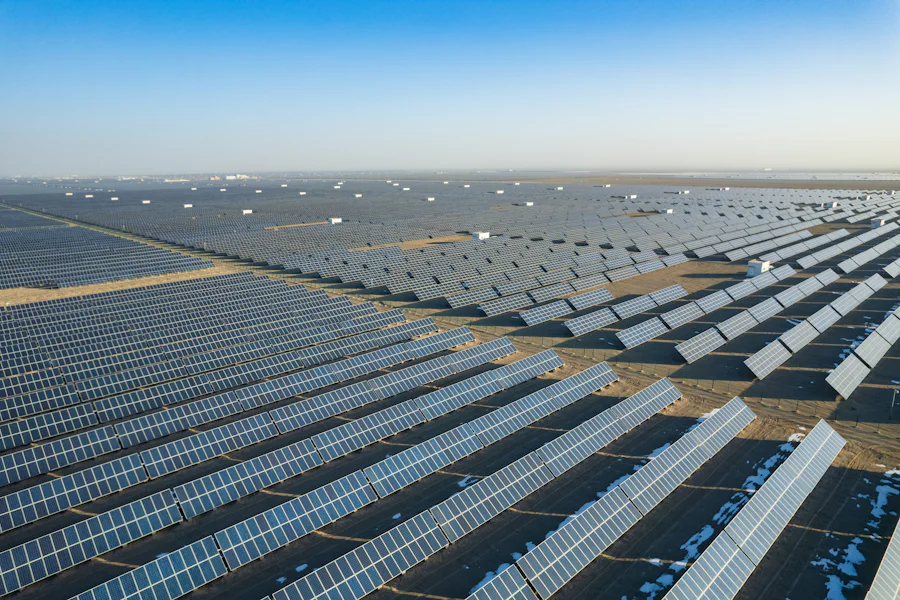 Rows of solar panels stretching to the horizon under a clear sky